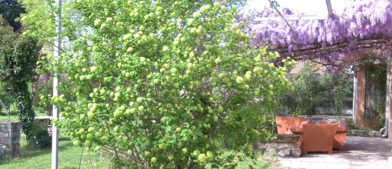 Mas Du Petit Claux Ξενοδοχείο Barbentane Εξωτερικό φωτογραφία