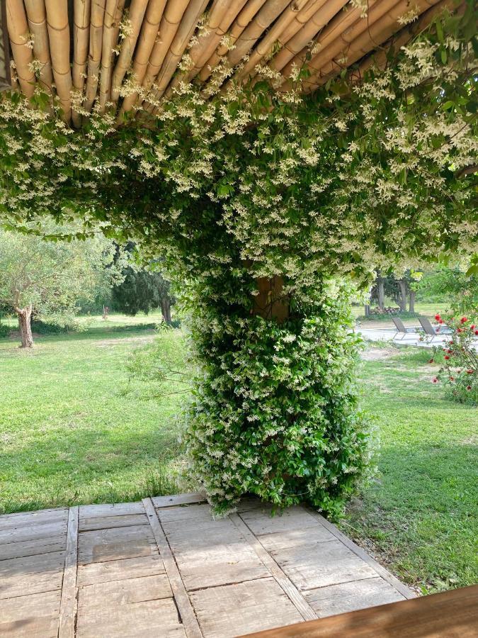 Mas Du Petit Claux Ξενοδοχείο Barbentane Εξωτερικό φωτογραφία